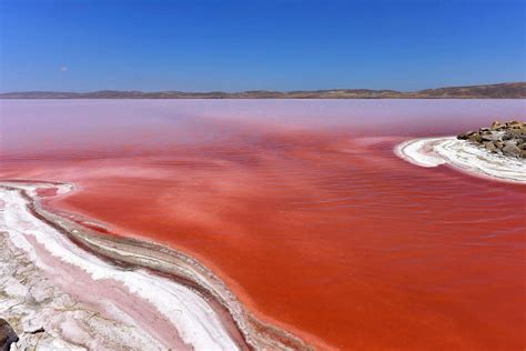 Red Lake .